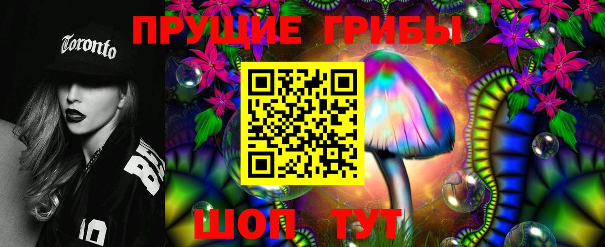 Бийск  Псилоцибиновые грибы прущие грибы  Вход с VPN 