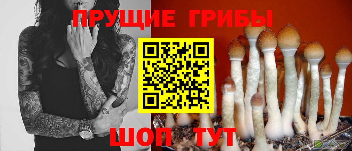 Псилоцибиновые грибы MAGIC MUSHROOMS Бийск